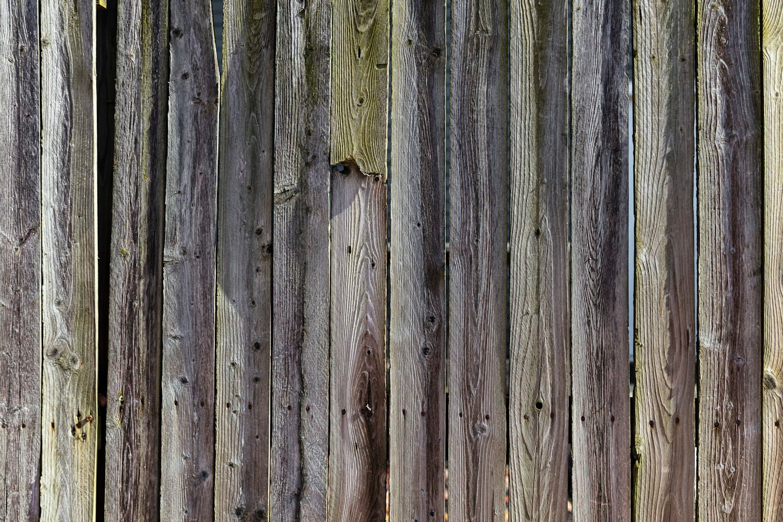 Damaged wood fence boards ready for repair or replacement