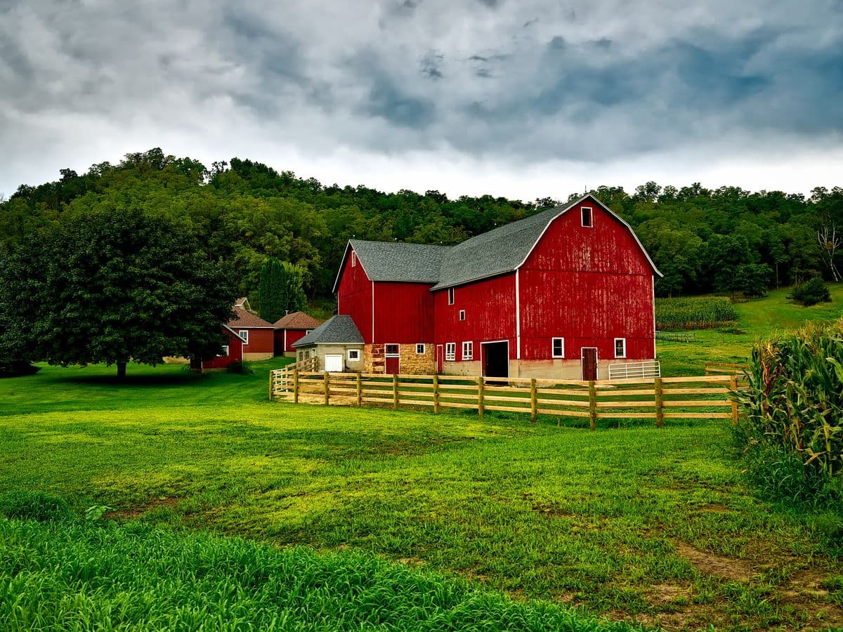 Wood post-and-rail farm fencing in front of a red barn