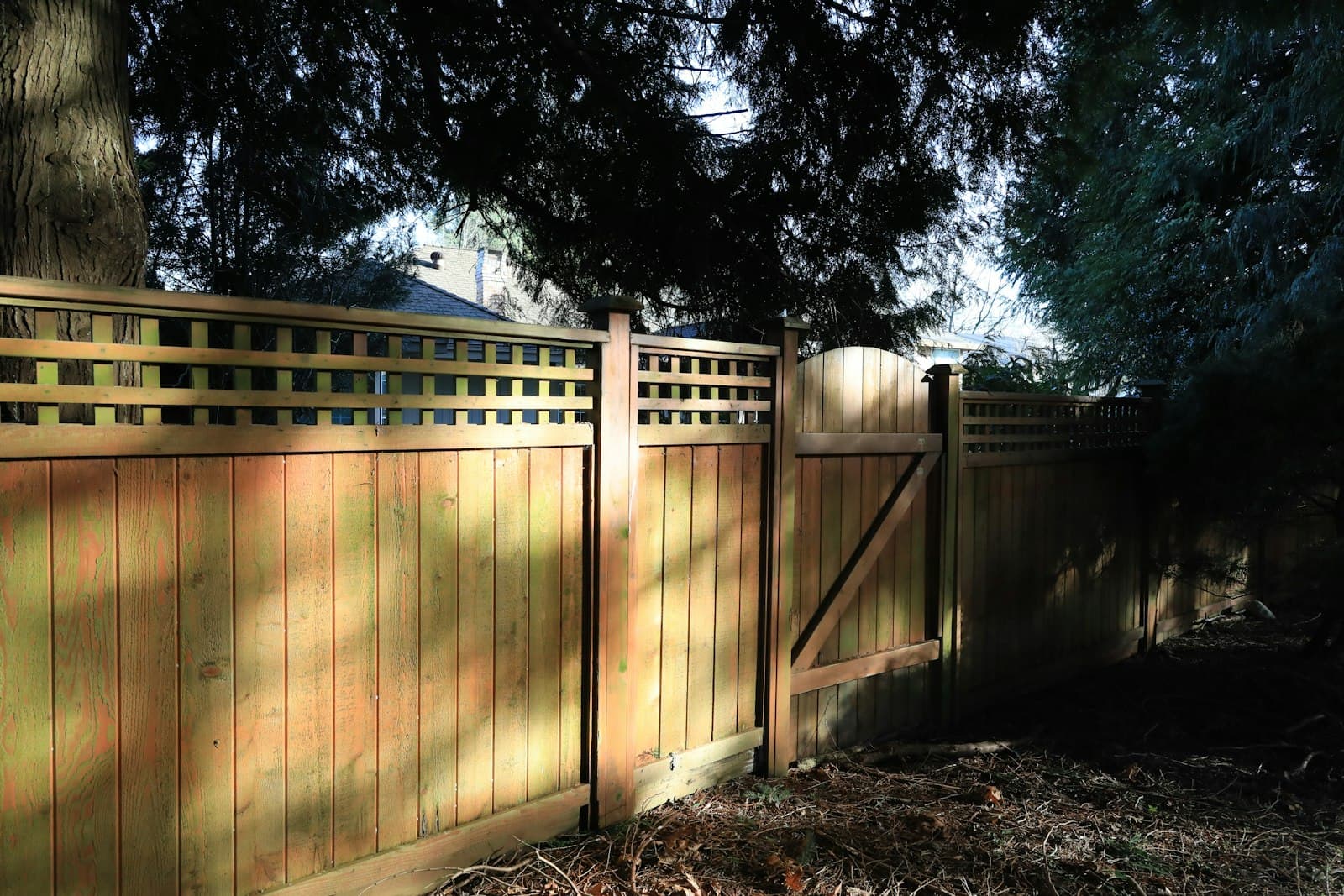 Arched wooden gate set in a wood privacy fence with diagonal brace